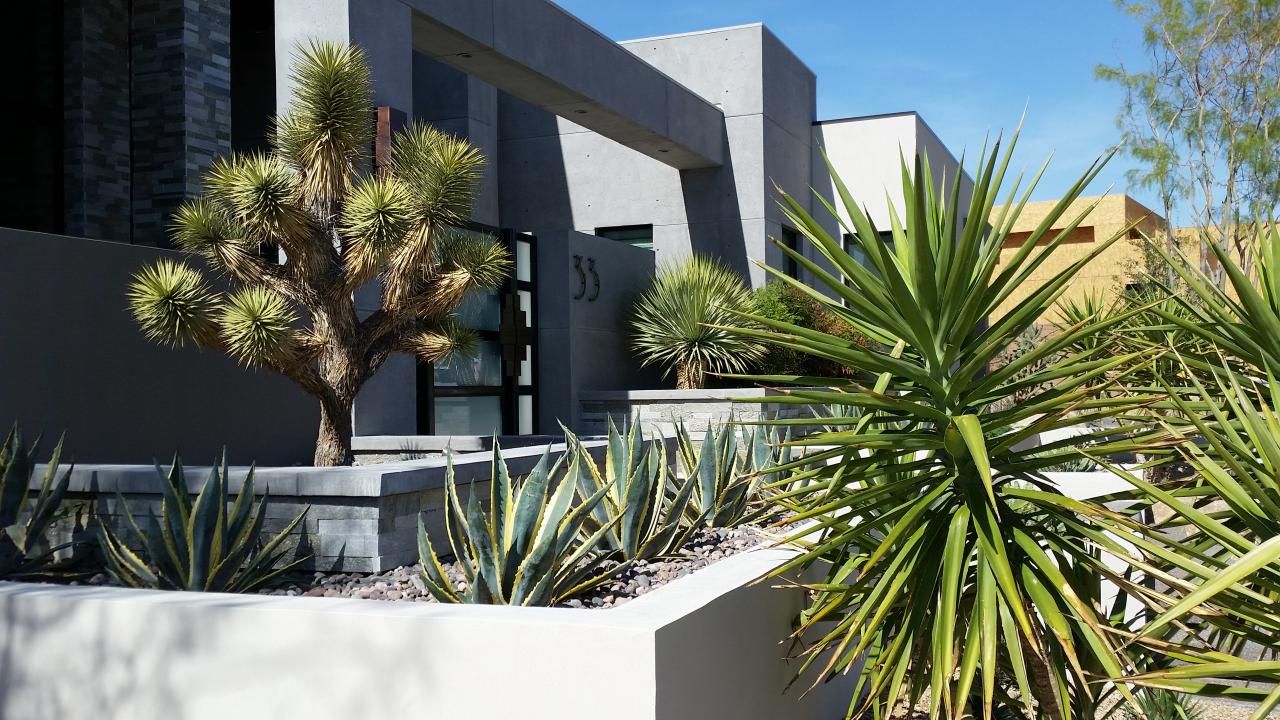 Front Yard Landscape Desing Las Vegas