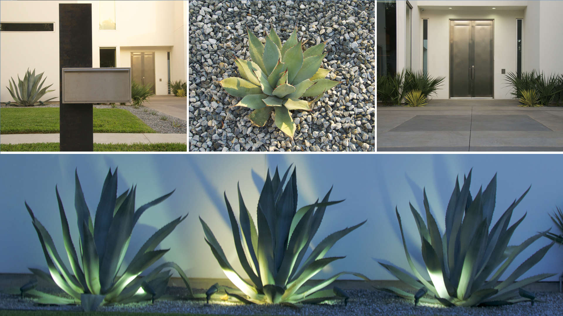Landscaping in Las Vegas Plant Styles