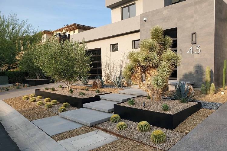 Modern Las Vegas Landscaping Style